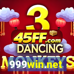 999win.net