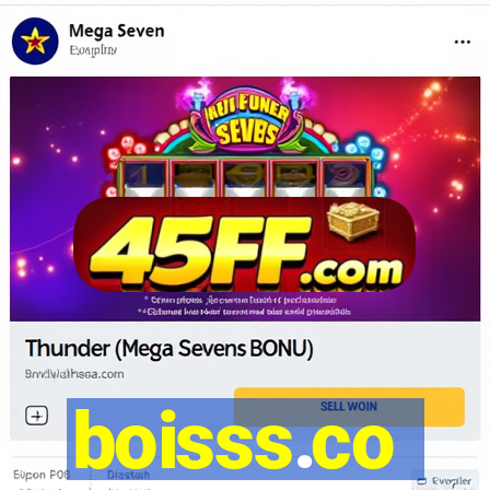 boisss.co