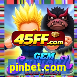 pinbet.com
