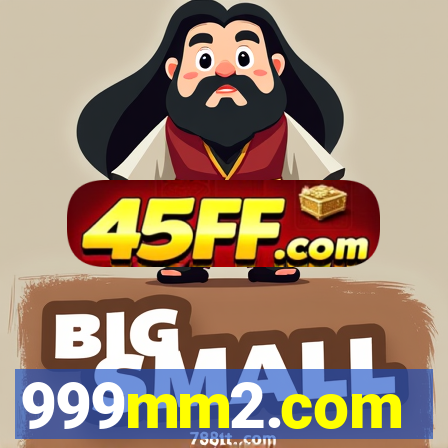 999mm2.com