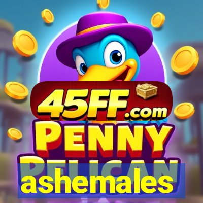 ashemales