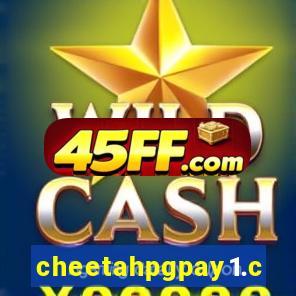 cheetahpgpay1.com
