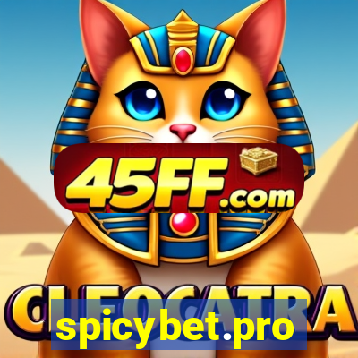 spicybet.pro